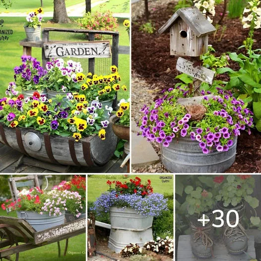 Gardens ideas with a vintage look, very beautiful and welcoming - Vietnews8