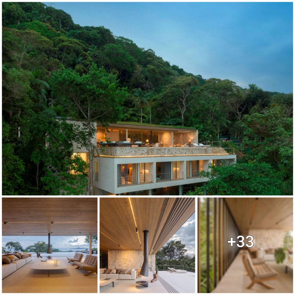“Embracing Nature: A Brazilian Home Exuding Luxury with Natural Wood and Stone Elements”