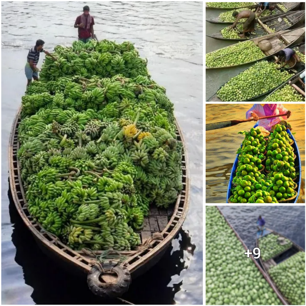 Set sail on a magical journey through the rich traditions and grandeur of floating fruit barges