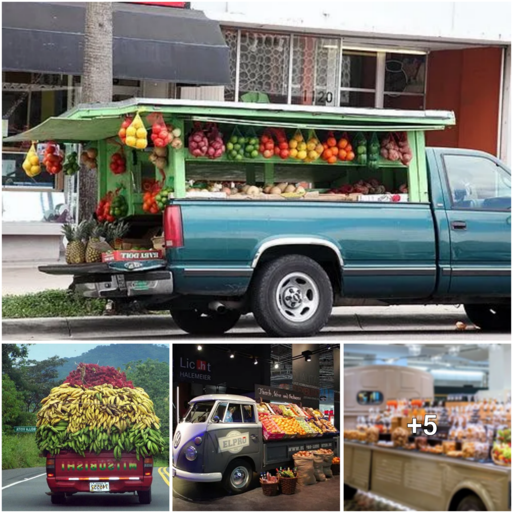 Riding with the Harvest: Discovering the Charm of Fruit-Filled Vehicles as They Traverse the Countryside
