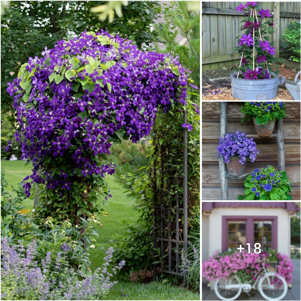 “22 Dreamy Purple Garden Decoration Ideas for Enthusiasts of the Hue”